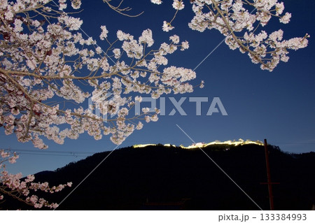 「竹田の桜並木」円山川沿いの夜桜越しに見る竹田城跡 「竹田の桜並木」円山川沿いの夜桜越しに見る竹田城跡 133384993