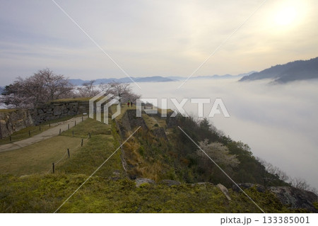 竹田城跡より朝日を浴びる雲海と桜を眺望 竹田城跡より朝日を浴びる雲海と桜を眺望 133385001