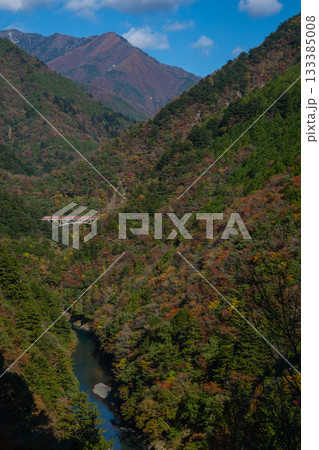 静岡県井川・接岨峡の紅葉と大井川鐵道井川線アプト式機関車 133385008