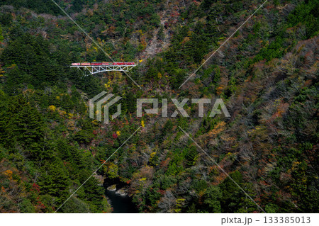 静岡県井川・接岨峡の紅葉と大井川鐵道井川線アプト式機関車 静岡県井川・接岨峡の紅葉と大井川鐵道井川線アプト式機関車 133385013