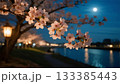 ライトアップされた桜と月夜の水面 133385443
