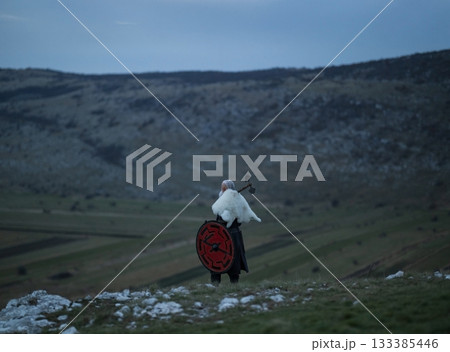 Viking warrior with axe standing on mountain cliff, wearing fur cloak and leather armor, overlooking dramatic landscape. Historical Nordic fighter 133385446