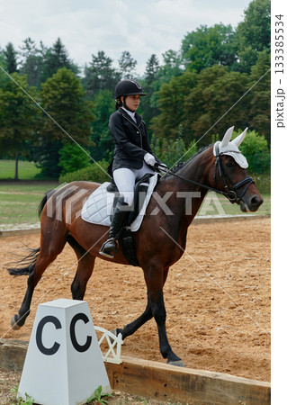 Equestrian sport, horse and rider in dressage competition, woman riding horse in outdoor arena, training and performance, equine event, sunny day, natural light, action shot. Equestrian sport, horse and rider in dressage competition, woman riding horse in outdoor arena, training and performance, equine event, sunny day, natural light, action shot. 133385534