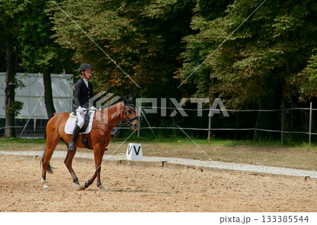 Equestrian sport, horse and rider in dressage competition, woman riding horse in outdoor arena, training and performance, equine event, sunny day, natural light, action shot. 133385544