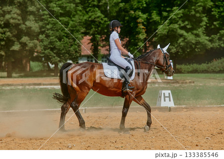 Equestrian sport, horse and rider in dressage competition, woman riding horse in outdoor arena, training and performance, equine event, sunny day, natural light, action shot. Equestrian sport, horse and rider in dressage competition, woman riding horse in outdoor arena, training and performance, equine event, sunny day, natural light, action shot. 133385546