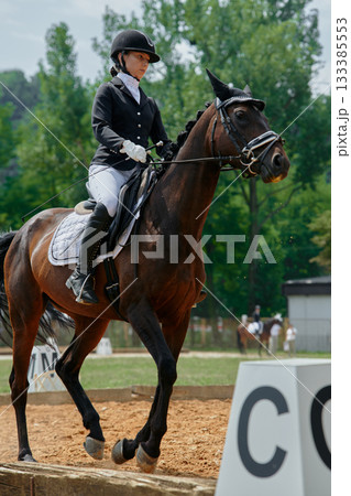 Equestrian sport, horse and rider in dressage competition, woman riding horse in outdoor arena, training and performance, equine event, sunny day, natural light, action shot. 133385553