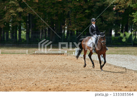 Equestrian sport, horse and rider in dressage competition, woman riding horse in outdoor arena, training and performance, equine event, sunny day, natural light, action shot. 133385564