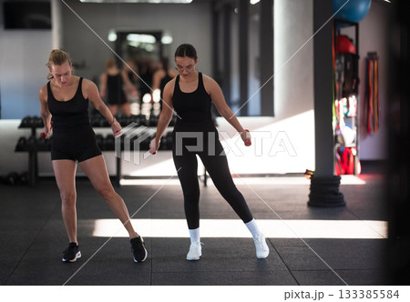 Two women engage in a strength training workout with dumbbells in a modern gym environment during daytime 133385584