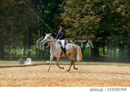 Equestrian sport, horse and rider in dressage competition, woman riding horse in outdoor arena, training and performance, equine event, sunny day, natural light, action shot. Equestrian sport, horse and rider in dressage competition, woman riding horse in outdoor arena, training and performance, equine event, sunny day, natural light, action shot. 133385704