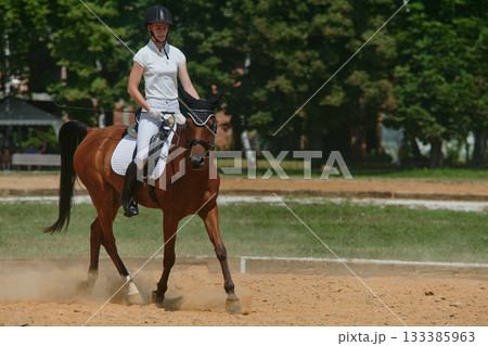 Equestrian sport, horse and rider in dressage competition, woman riding horse in outdoor arena, training and performance, equine event, sunny day, natural light, action shot. 133385963
