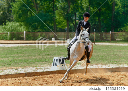 Equestrian sport, horse and rider in dressage competition, woman riding horse in outdoor arena, training and performance, equine event, sunny day, natural light, action shot. 133385969