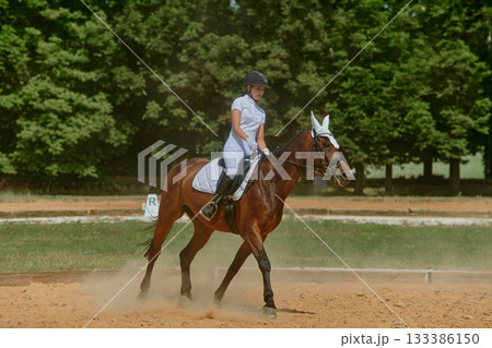 Equestrian sport, horse and rider in dressage competition, woman riding horse in outdoor arena, training and performance, equine event, sunny day, natural light, action shot. 133386150