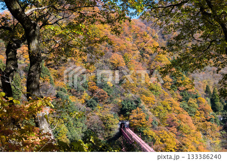 宇奈月温泉やまびこ展望台から黒部峡谷鉄道トロッコ電車の新山彦橋の橋梁 133386240