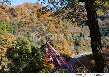 宇奈月温泉やまびこ展望台から見る新山彦橋の橋梁 133386245
