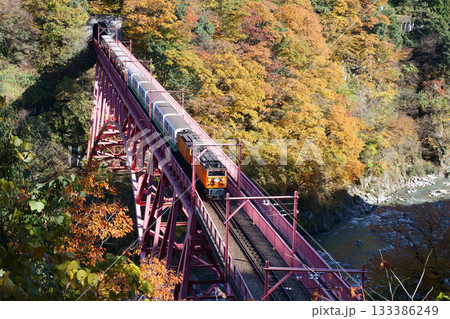 宇奈月温泉やまびこ展望台から見る新山彦橋の橋梁を渡るトロッコ電車 宇奈月温泉やまびこ展望台から見る新山彦橋の橋梁を渡るトロッコ電車 133386249