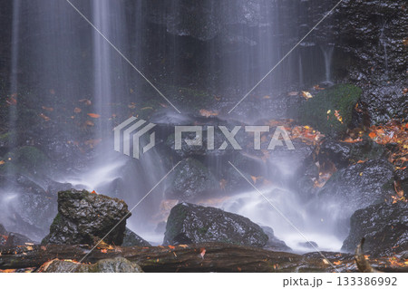 滝の裏側から見た紅葉の滝 133386992