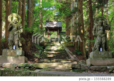 【大分県】国東半島の両子寺の仁王門 133388289
