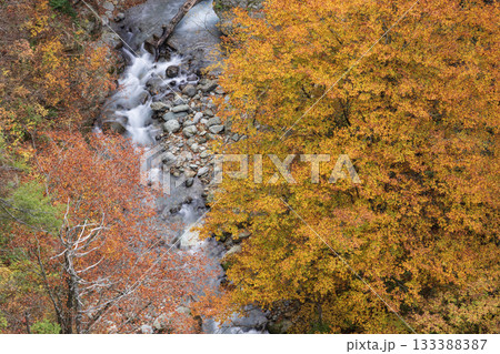 紅葉に囲まれた渓流 133388387