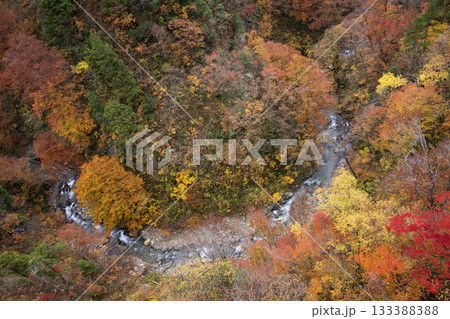 紅葉に染まる渓流の流れ 紅葉に染まる渓流の流れ 133388388