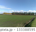 北海道　十勝の田園風景　2025年10月下旬 133388595