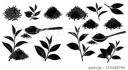 Collection of tea plant leaves and dry tea piles, including a spoon, for beverage packaging graphics 133388749