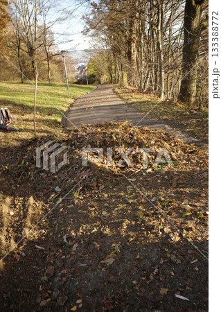 Autumn Park Path with Fallen Leaves and Distant Town 133388772