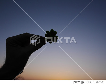 Hand holding a green shamrock in front of a blue sky Hand holding a green shamrock in front of a blue sky 133388784