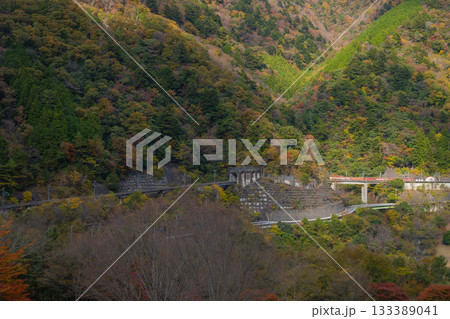 静岡県長島ダム付近を走る大井川鐵道井川線アプト式機関車（急勾配区間） 133389041