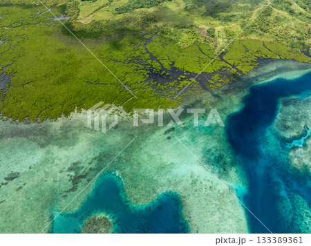 Mangrove coastline merging with shallow reef flats and turquoise waters viewed from above. 133389361