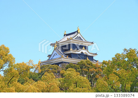 岡山県岡山市、岡山城の風景 岡山県岡山市、岡山城の風景 133389374