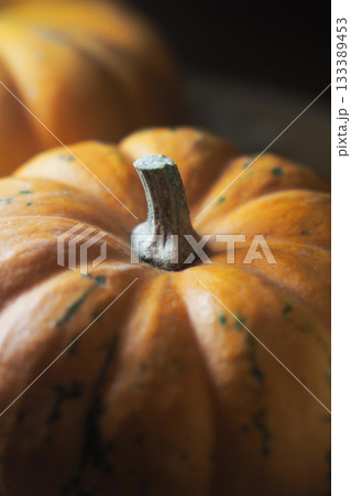 Pumpkin close-up shows texture and color in autumn light 133389453