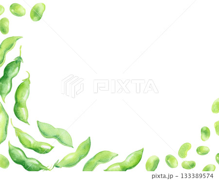 水彩画風の枝豆のフレームの素材 133389574