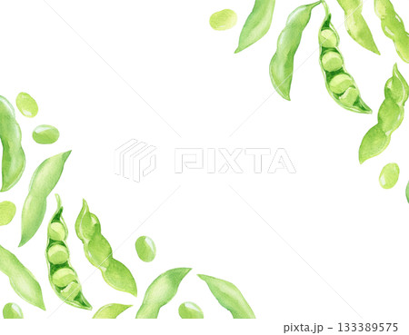 水彩画風の枝豆のフレームの素材 水彩画風の枝豆のフレームの素材 133389575