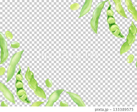 水彩画風の枝豆のフレームの素材 水彩画風の枝豆のフレームの素材 133389575