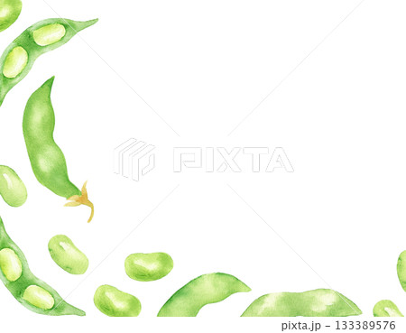 水彩画風の枝豆のフレームの素材 133389576