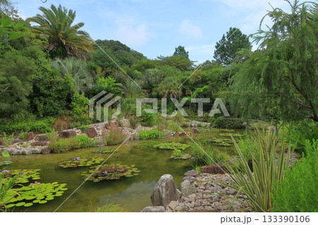北川村モネの庭のボルディゲラの庭の池の風景 133390106