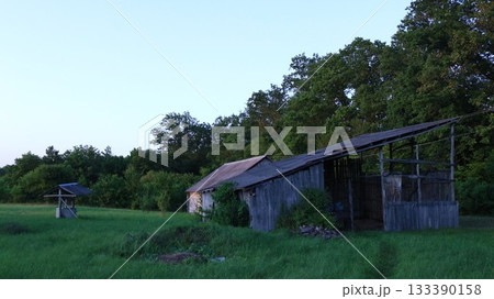 An old dilapidated barn for storing hay and a retro well on a field with lush tall grass near the forest on a summer evening at dusk, abandoned village buildings on an evening summer meadow 133390158