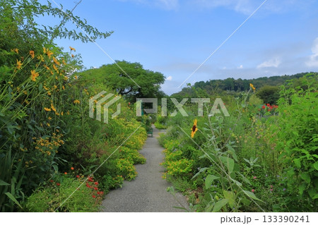 野花が咲き誇る北川村モネの庭の花の庭の景色 133390241