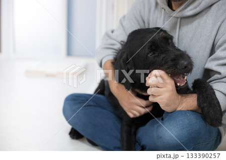 ガジガジかじる、噛む大型犬　かみかみ欲求の解消 133390257