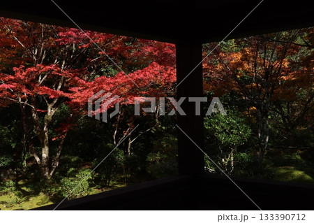 西明寺の紅葉 西明寺の紅葉 133390712