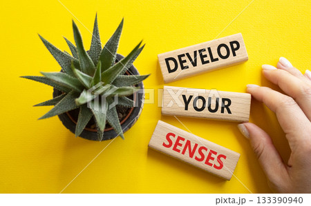 Sense symbol. Wooden blocks with words Develop your Senses. Beautiful yellow background with succulent plant. Businessman hand. Business and Develop your Senses concept. Copy space. 133390940