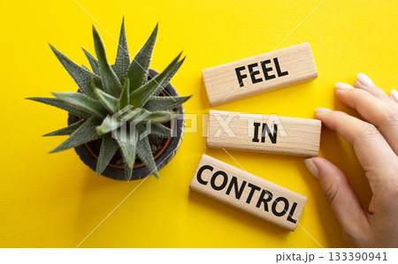 Feel in Control symbol. Wooden blocks with words Feel in Control. Beautiful yellow background with succulent plant. Businessman hand. Business and Feel in Control concept. Copy space. Feel in Control symbol. Wooden blocks with words Feel in Control. Beautiful yellow background with succulent plant. Businessman hand. Business and Feel in Control concept. Copy space. 133390941