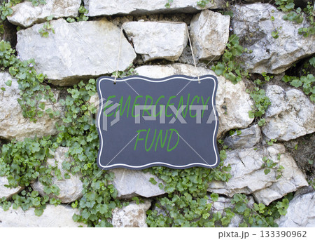 Emergency Fund symbol. Stone wall with words Emergency Fund. Beautiful stone background with plants. Business and Emergency Fund concept. Copy space. Emergency Fund symbol. Stone wall with words Emergency Fund. Beautiful stone background with plants. Business and Emergency Fund concept. Copy space. 133390962