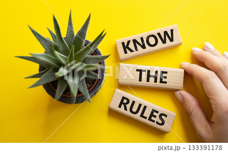 Know the rules symbol. Wooden blocks with words Know the rules. Businessman hand. Beautiful yellow background with succulent plant. Business and Know the rules concept. Copy space. 133391178
