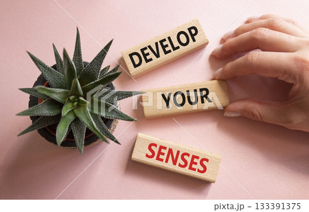 Sense symbol. Wooden blocks with words Develop your Senses. Beautiful pink background with succulent plant. Businessman hand. Business and Develop your Senses concept. Copy space. Sense symbol. Wooden blocks with words Develop your Senses. Beautiful pink background with succulent plant. Businessman hand. Business and Develop your Senses concept. Copy space. 133391375