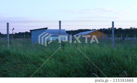 Outbuildings on farmland behind a chain-link fence on an unmown lawn, rural landscape with a house, barn and fence in the evening summer twilight, residential and working farmland Outbuildings on farmland behind a chain-link fence on an unmown lawn, rural landscape with a house, barn and fence in the evening summer twilight, residential and working farmland 133391668