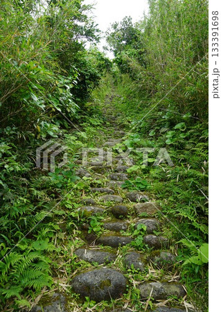 大里神社の参道 133391698