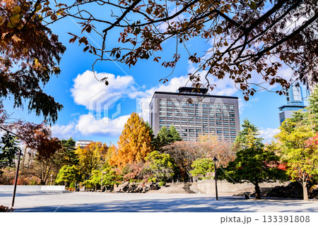 秋 杜の都仙台 定禅寺通りを歩く 133391808