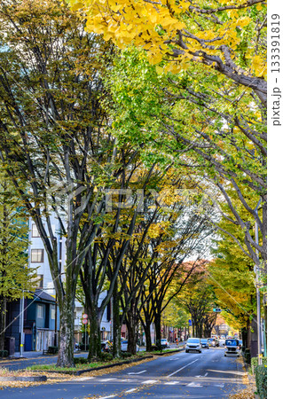 秋 杜の都仙台 定禅寺通りを歩く 133391819