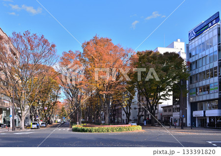 秋 杜の都仙台 定禅寺通りを歩く 133391820